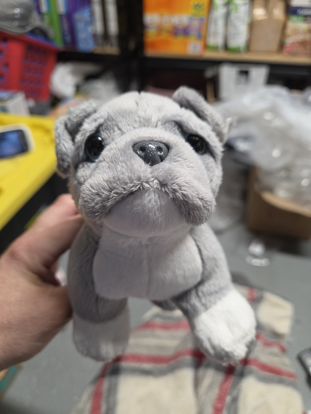 Gray Plush Bulldog Stuffed Animal